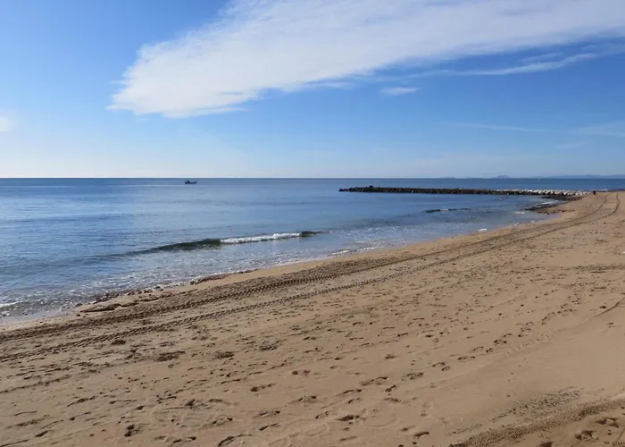 Gorgeous In Torrevieja